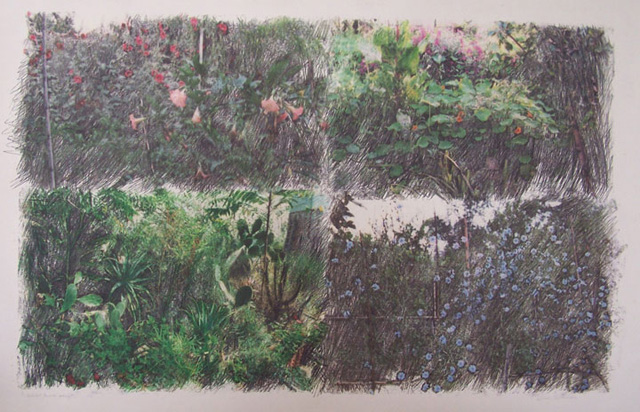 monoprints